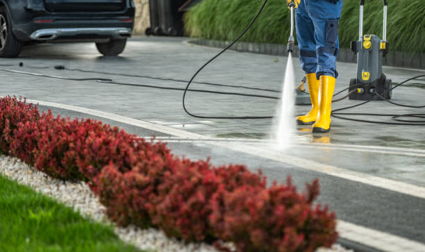 Best Sidewalk and Walkway Cleaning  in Wolf Trap, VA
